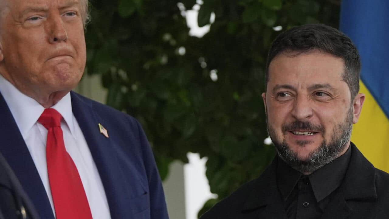 Reuters: у США вважають, що “мирний план” узгодять після зустрічі Зеленського й Трампа