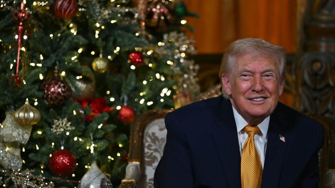 Трамп сказав, що РФ, Китай і Україна відволікають його від різдвяних справ