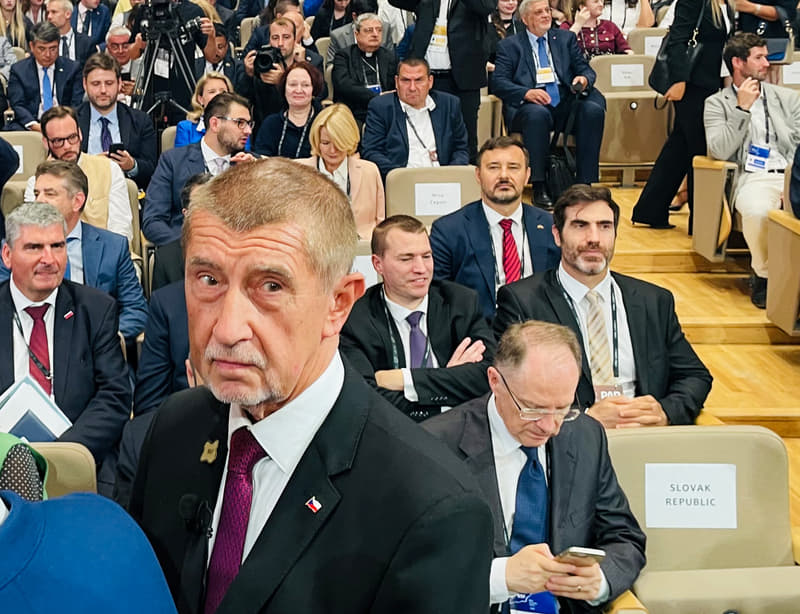 Прем’єр Чехії закликав до створення коаліцій для захисту інтересів Центральної Європи в ЄС